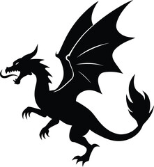 black and white dragon