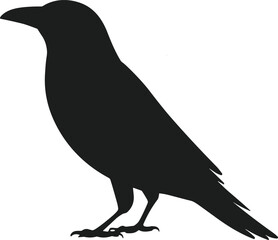 Crow Silhouette Vector – Standing Black Bird for Halloween and Gothic Art
