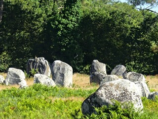 Carnac, August 2025: Visit  the world's largest megalithic complex - View of the alignments of menhirs
