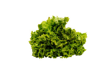Obraz premium Lettuce salad isolated on White background 
