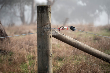 female farmer reeling a electric fence a farm putting up a steel post fence with high tensile wire...