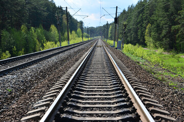 Obraz premium Railway Tracks Through Lush Forest diminishing perspective