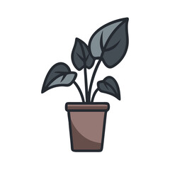 Potted plant with gray leaves and brown pot against a black background
