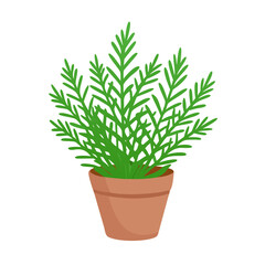 Potted plant on a black background, providing a clean and decorative element