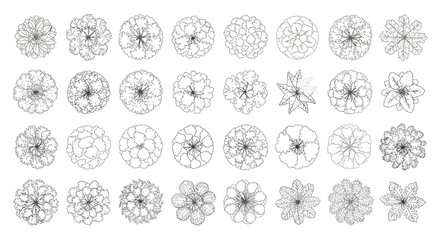 Detailed top-down tree illustrations for architectural plans, landscaping designs, and urban planning projects