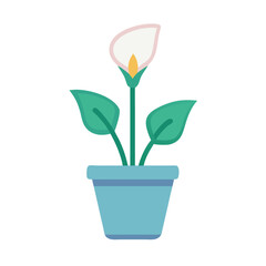 Stylized calla lily plant in blue pot, illustration on black background