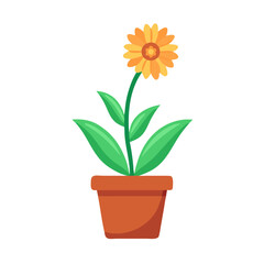 Cheerful sunflower in a brown pot, isolated on black background for botanical design