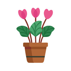Stylized potted cyclamen illustration with three pink flowers on a black background