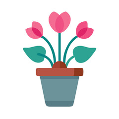 Charming flat illustration of pink cyclamen flowers in a blue pot against black background
