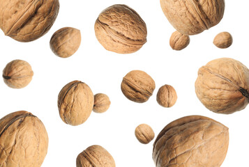 Walnuts in shell swirling in air against white background