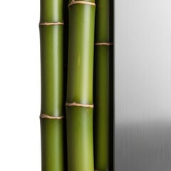 Fototapeta premium Closeup of green bamboo stalks against a metallic background