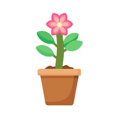 Charming flat style graphic of a pink flower in a terracotta pot.
