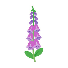Stylized foxglove flower illustration with purple bell-shaped blooms on a black background © Sharuzzaman