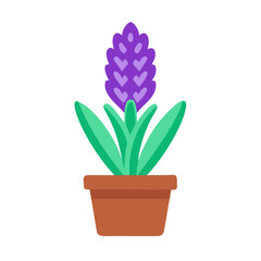 Obraz premium Isolated hyacinth plant in pot with simple, flat vector graphic design