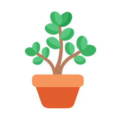 Potted jade plant illustration in flat style on black background for stock usage