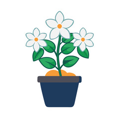 Flat vector illustration of white flowers with green leaves in dark pot