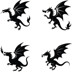 black and white dragons