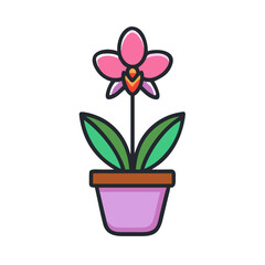 Vector illustration of potted orchid flower with pink petals and green leaves