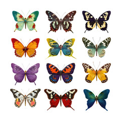 Colorful butterfly collection nature isolated on transparent background