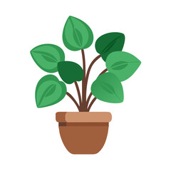 Stylized potted plant with round leaves in a brown planter against black backdrop