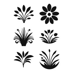 black and white floral elements