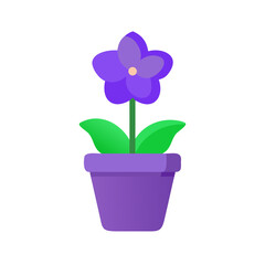 Simple flat illustration of a purple African violet flower in a pot