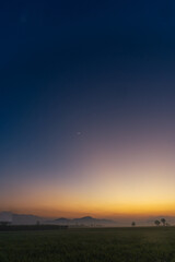 blue Hour before the sunrise sky in the morning over rice field
