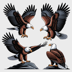 Vector silhouette of a flying bald eagle with outstretched wings, a powerful predator symbolizing freedom