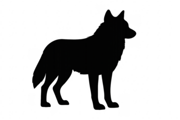 Black wolf silhouette standing on transparent background