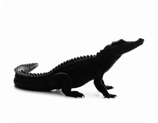 Obraz premium Black Alligator on Bright Background: A sleek, black alligator is captured in a moment of curiosity, its form silhouetted against a vivid, background.