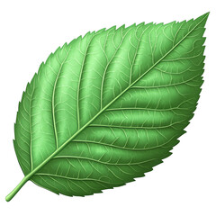 Green Leaf Icon Natural Texture and Visible Veins