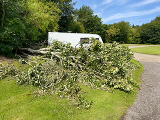 After a storm a tree has fallen dangerously close to a caravan .Extreme Weather