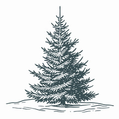 Fototapeta premium A beautiful glass Christmas tree with clear transparency. This unique and elegant design is perfect for sophisticated, minimalist, and artistic holiday projects.