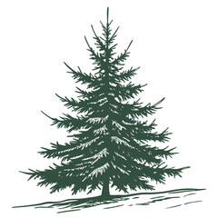 Obraz premium A heavy Christmas tree with weighted branches, a strong presence and rich, dense foliage. This image is perfect for traditional, full, and bountiful holiday designs.