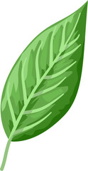 Vibrant Green Leaf Illustration - Nature Detail