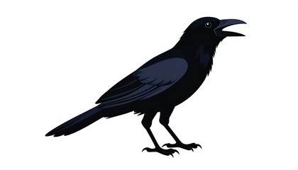 Obraz premium Black crow illustration with white background.