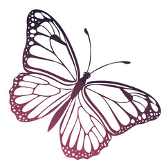 Elegant butterfly with gradient wings, a symbol of transformation and beauty isolated on white background