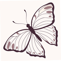 Simple butterfly with outlined wings isolated on white background, a natural insect with a clean and elegant design