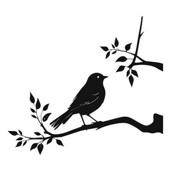 bird on a branch