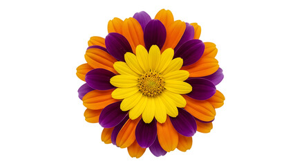 Bright and cheerful circular arrangement of colorful flowers on a transparent background showcasing vibrant colors and natural beauty