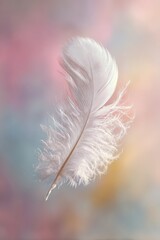Delicate White Feather Floating on Pastel Background, Soft Texture, Gentle Light