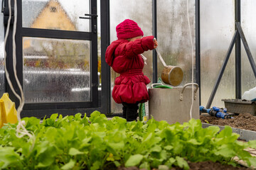 Adorable toddler in bright red coat and hat diligently helps with gardening, scooping water for lush green plants inside home greenhouse