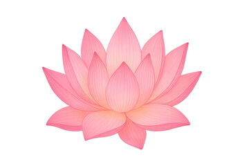 Pink lotus flower blooming with transparent background