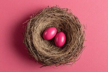 Two pink eggs nestled in a bird's nest,  pink background