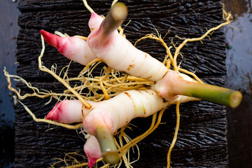 Galangal,herb,spices