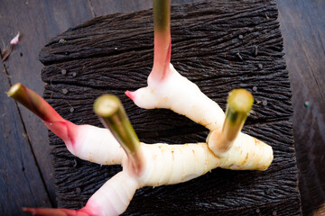 Galangal,herb,spices