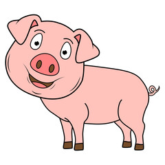 Cute Pig Animal Cartoon Illustration