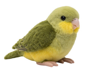 Green parakeet plush toy soft stuffed bird yellow chest cute animal realistic detail children gift isolated adorable fluffy decorative playful