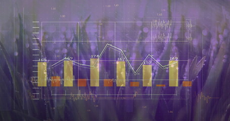 Showing bar and line chart overlaying purple-lit grass, with yellow bars, red bars, white line