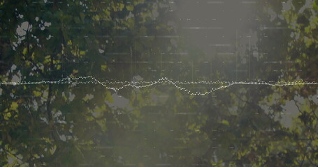 Fototapeta premium Flowing white dotted waveform graphic across forest canopy, with sunlit tree branches and leaves